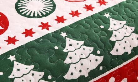 Christmas Quilt Sets Snowflake Santa Quilt Set Review