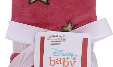 Disney Winnie and Piglet Christmas Blanket Review