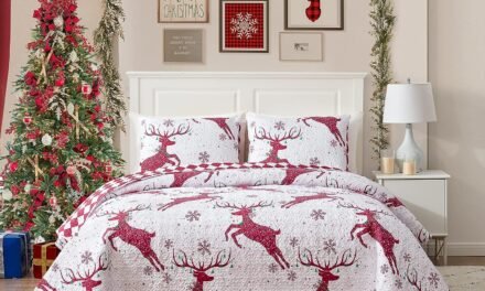Amgacina Christmas King Quilt Bedding Set Review