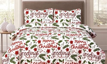 Christmas Cheer Winter Script Holiday Quilt King Bedding Set Review