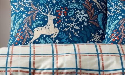 Happy Linen Company Winter Stags Blue Duvet Cover Set Review